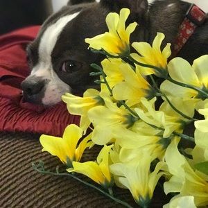 Meet your Posher, Val